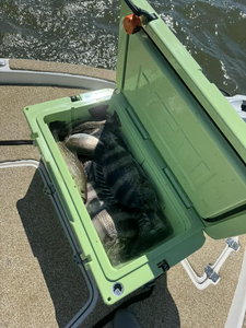 Another sunrise, another catch in Louisiana!